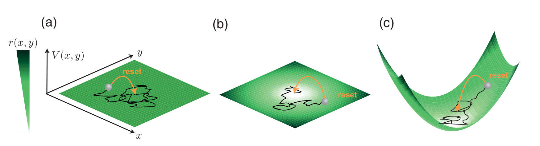 Stochastic Resetting